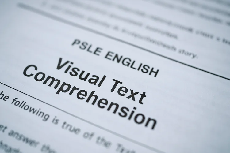 Close-up of PSLE English visual text comprehension section on exam paper for Primary 6 students.